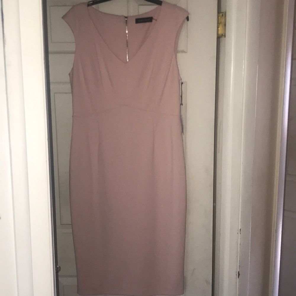 Ivanka Trump Blush Dress